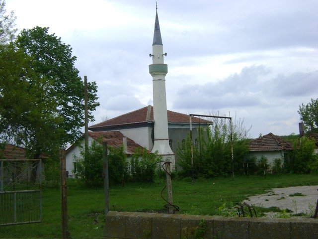 с. Дичево